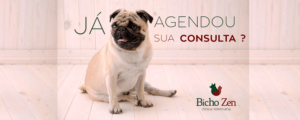Clinica Veterinária Slide 5